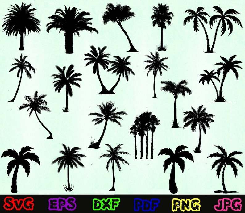 Palm Tree Svg, Palm Tree Silhouette, Palm Tree Design Svg 