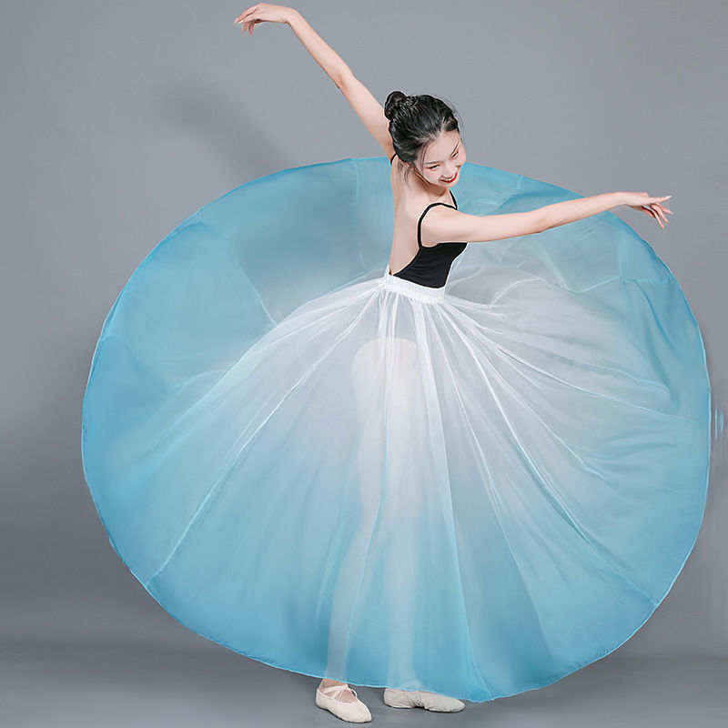 Adult Long Sleeves Classical Dance Costume Blue Chiffon Dress