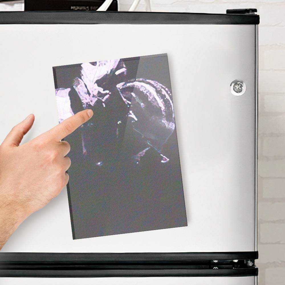 Xavier Wulf Fridge Magnet Philosopher's Throne Fridge Magnet