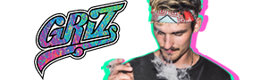 GRiZ x EARPEACE Essential Earplugs + Keychain Case – GRiZ Official  Merchandise