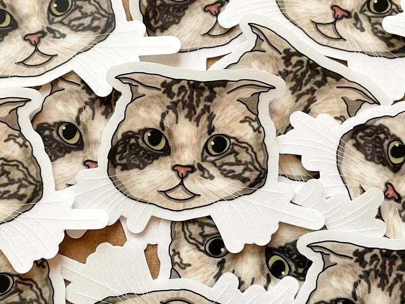 Taylor Swift Cats Stickers for Sale