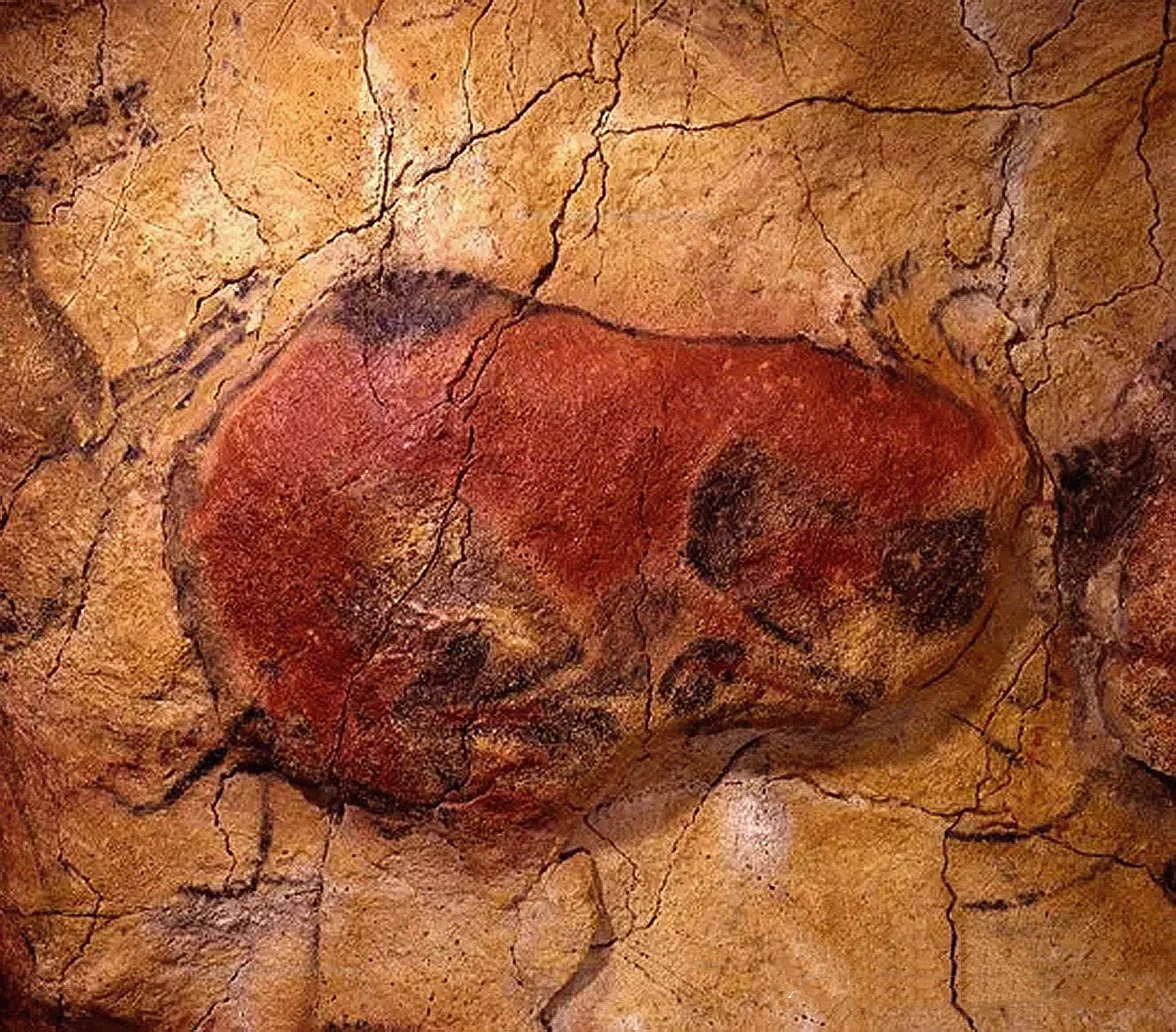  Prehistoric paintings in Spain’s Altamira cave, up to 20,000 years old