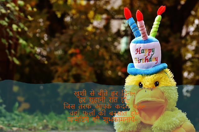 happy birthday wishes in hindi,birthday wishes in hindi32