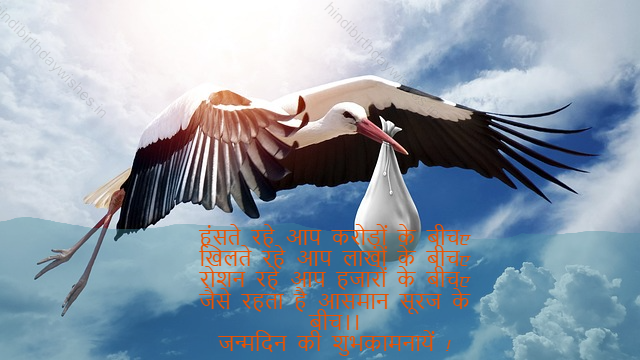 happy birthday wishes in hindi,birthday wishes in hindi31