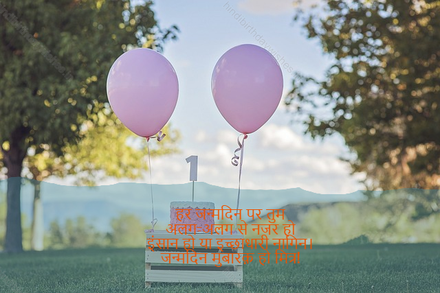 happy birthday wishes in hindi,birthday wishes in hindi8