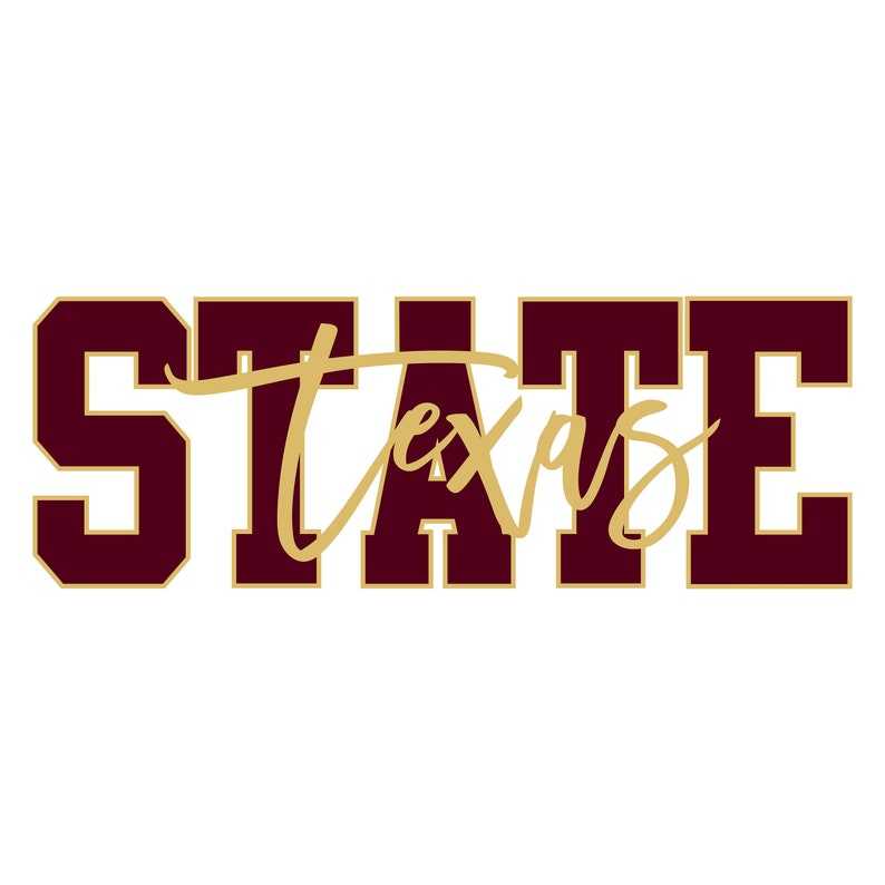 Texas State SVG  Unlimited Visualization Effects 
