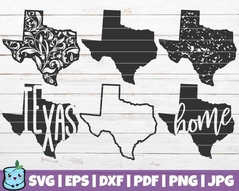 Floral Texas State SVG Unlimited Visualization Effects 