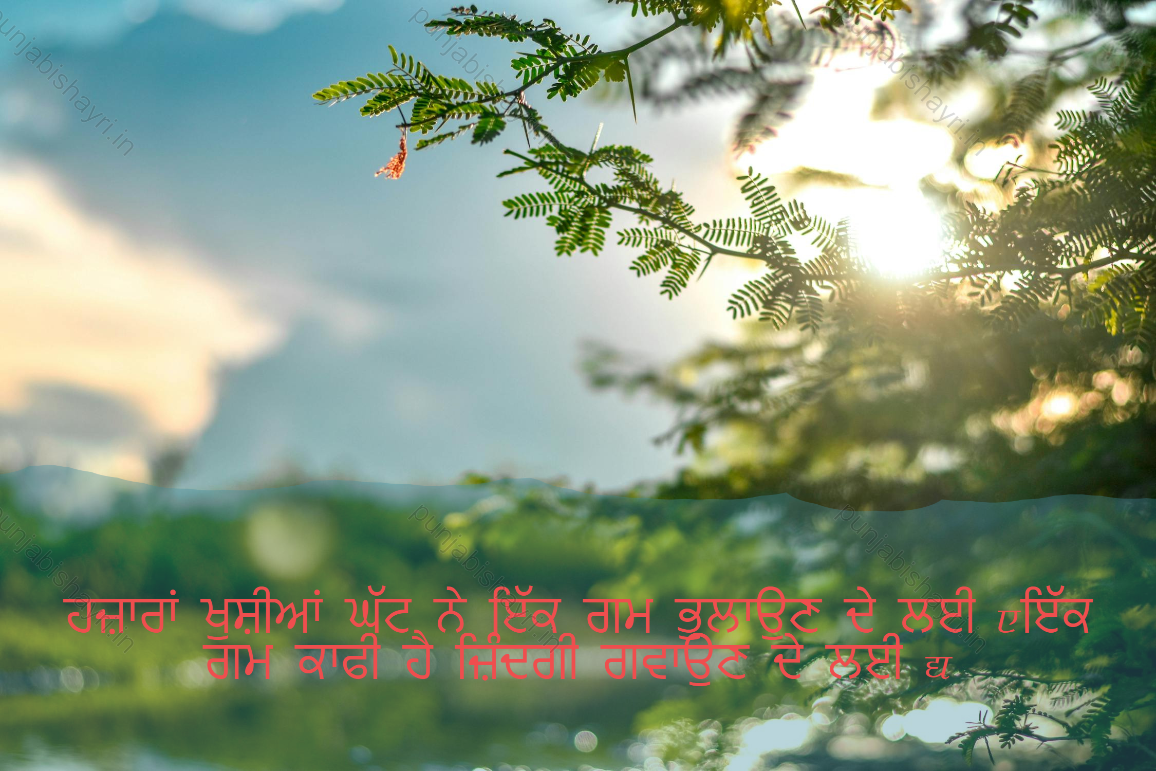 punjabi shayari 5