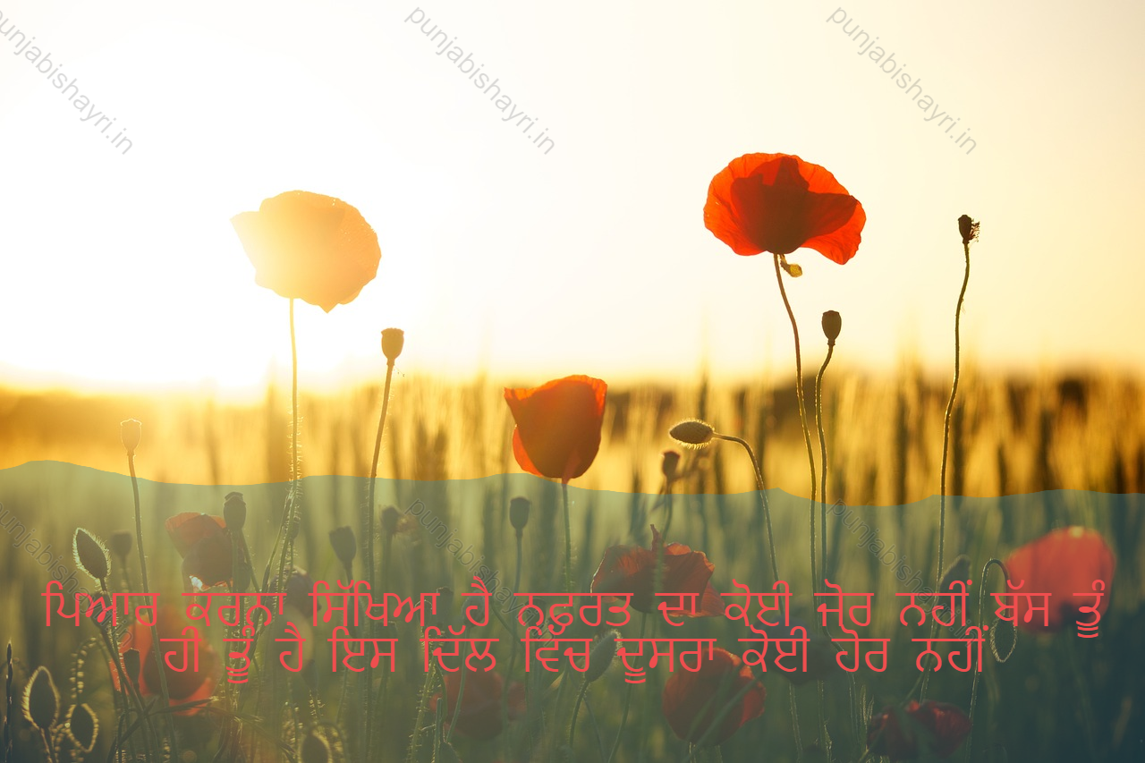 punjabi love shayari,punjabi love shayari 2 lines,punjabi romantic shayari 10