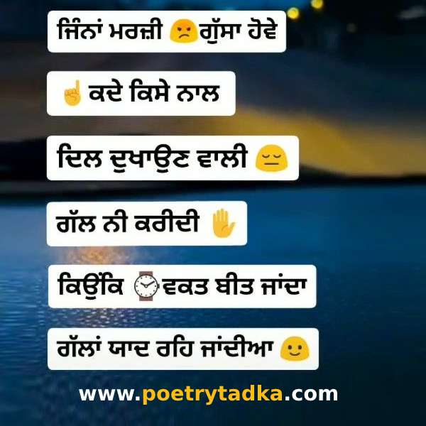 Emotional Sad ShayariPunjabi  In Hindi Font