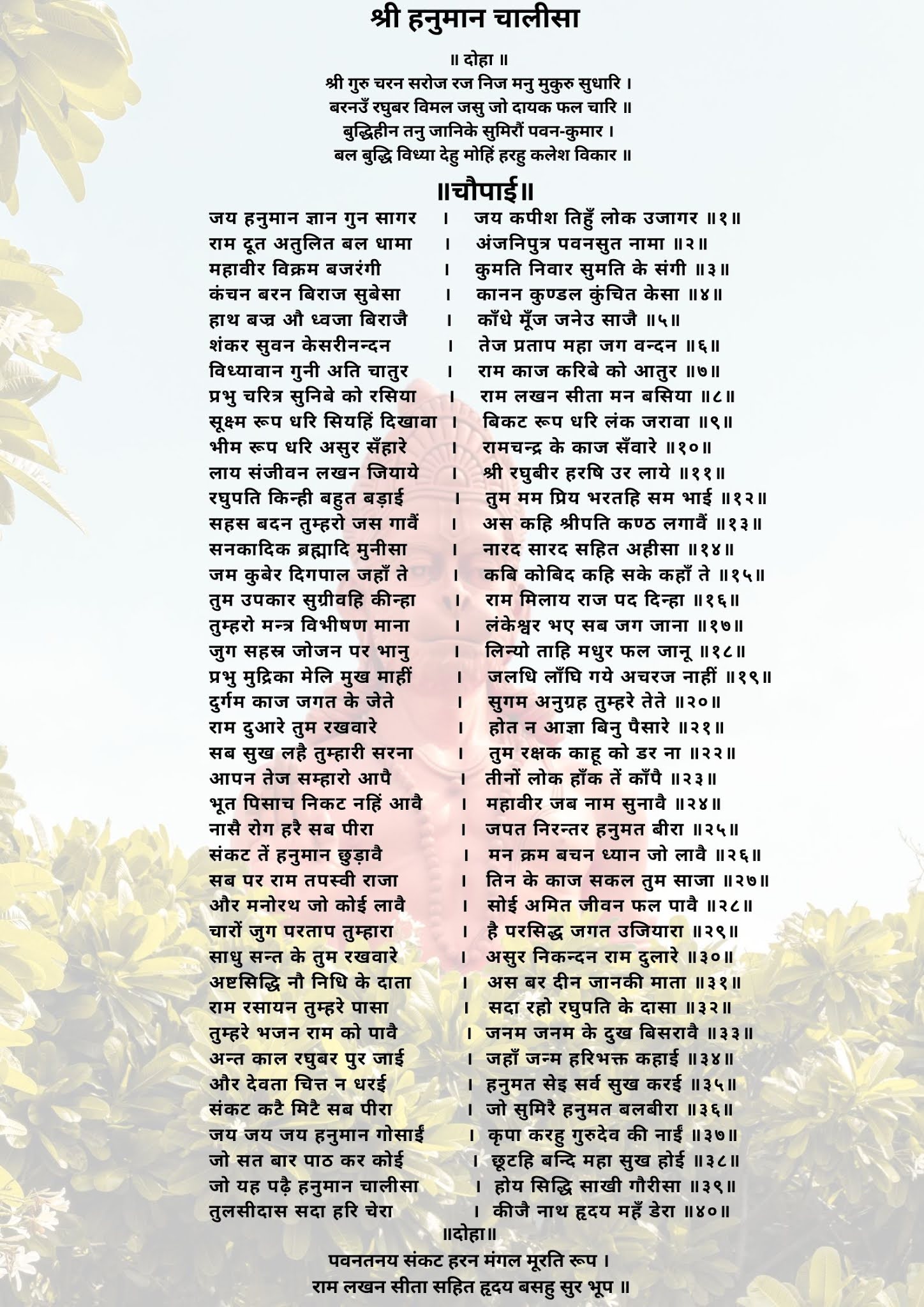 Hanuman Chalisa Lyrics In Hindi 17