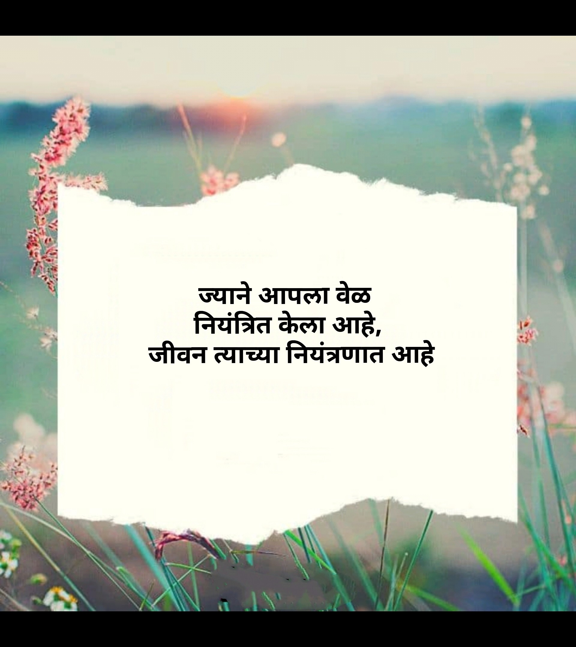 Motivational Quotes in Marathi for Success 10