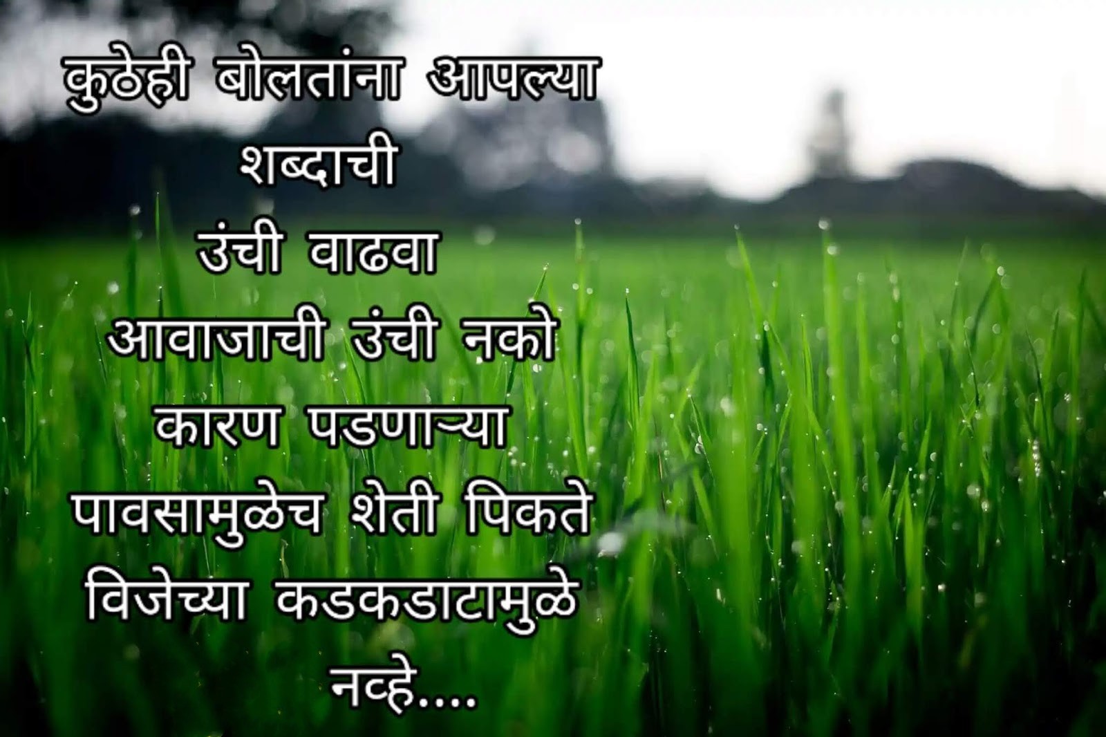 Motivational Quotes in Marathi for Success 6