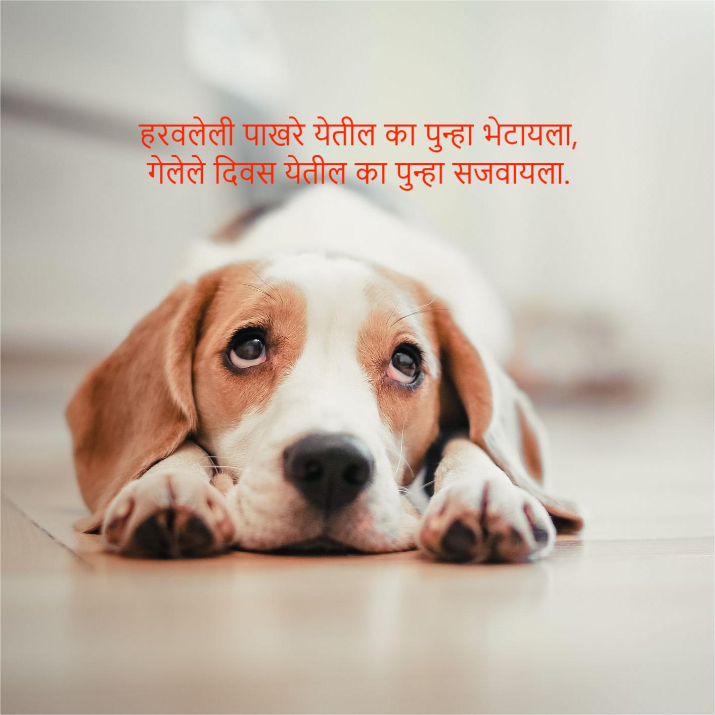 Motivational Quotes in Marathi 13