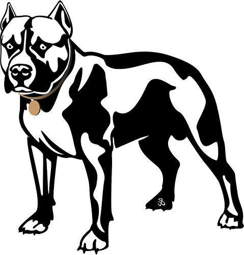 clipart pit bull