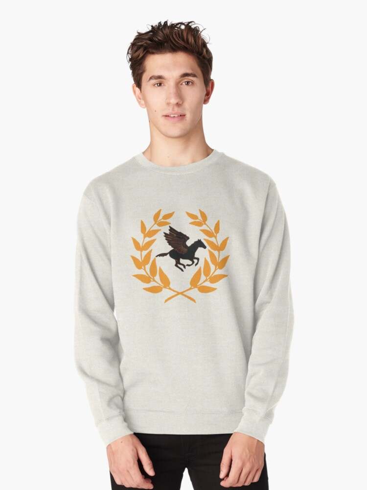 Camp deals jupiter sweatshirt