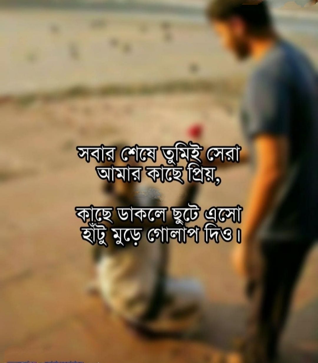 bengali romantic caption for fb dp