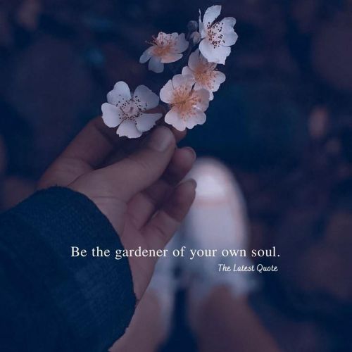 sad quotes for dp in pinterest