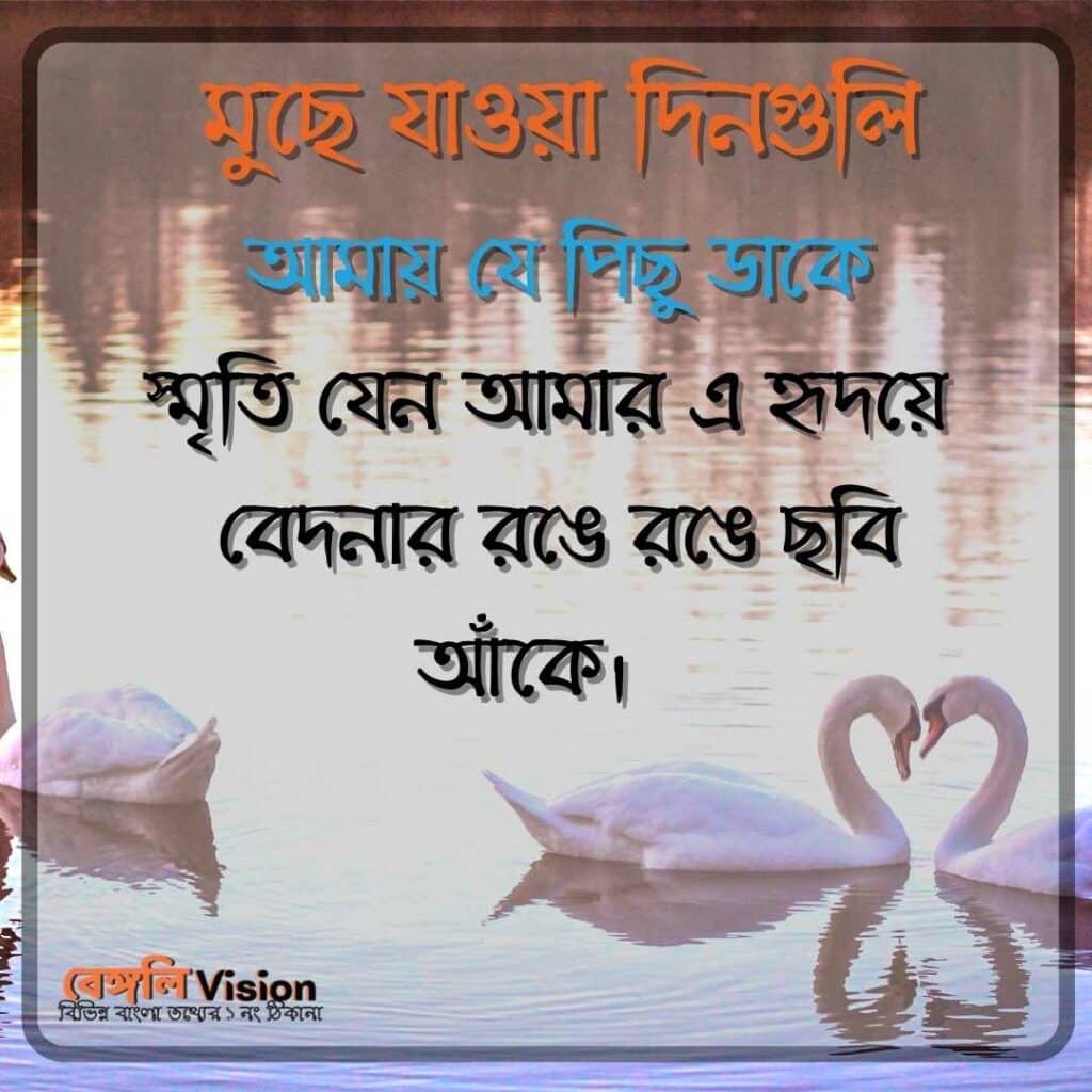 fb dp bengali love song caption