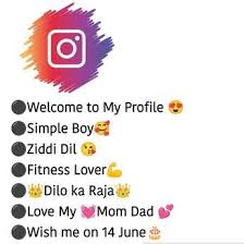 instagram stylish bio