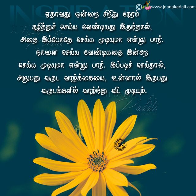 nice quotes for whatsapp dp