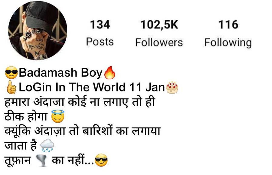 Bio For Instagram For Boy Attitude In Hindi