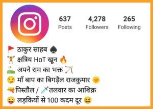 instagram bio for boys attitude in hindi