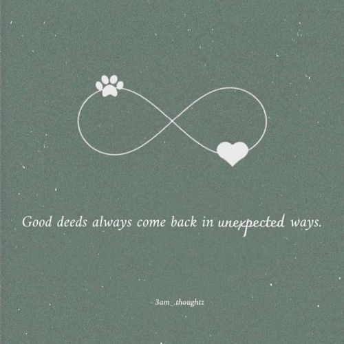 love quotes for dp in pinterest