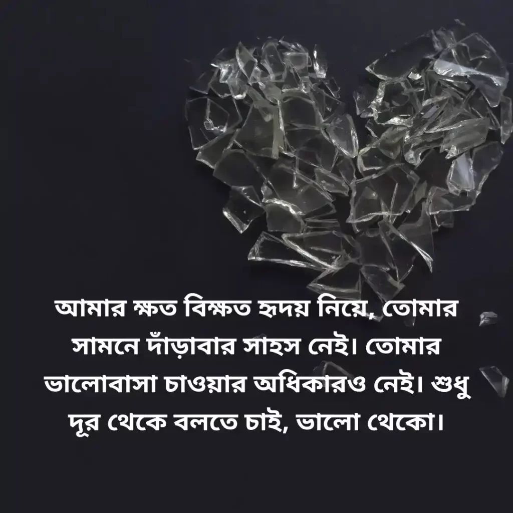 bengali love caption for fb dp