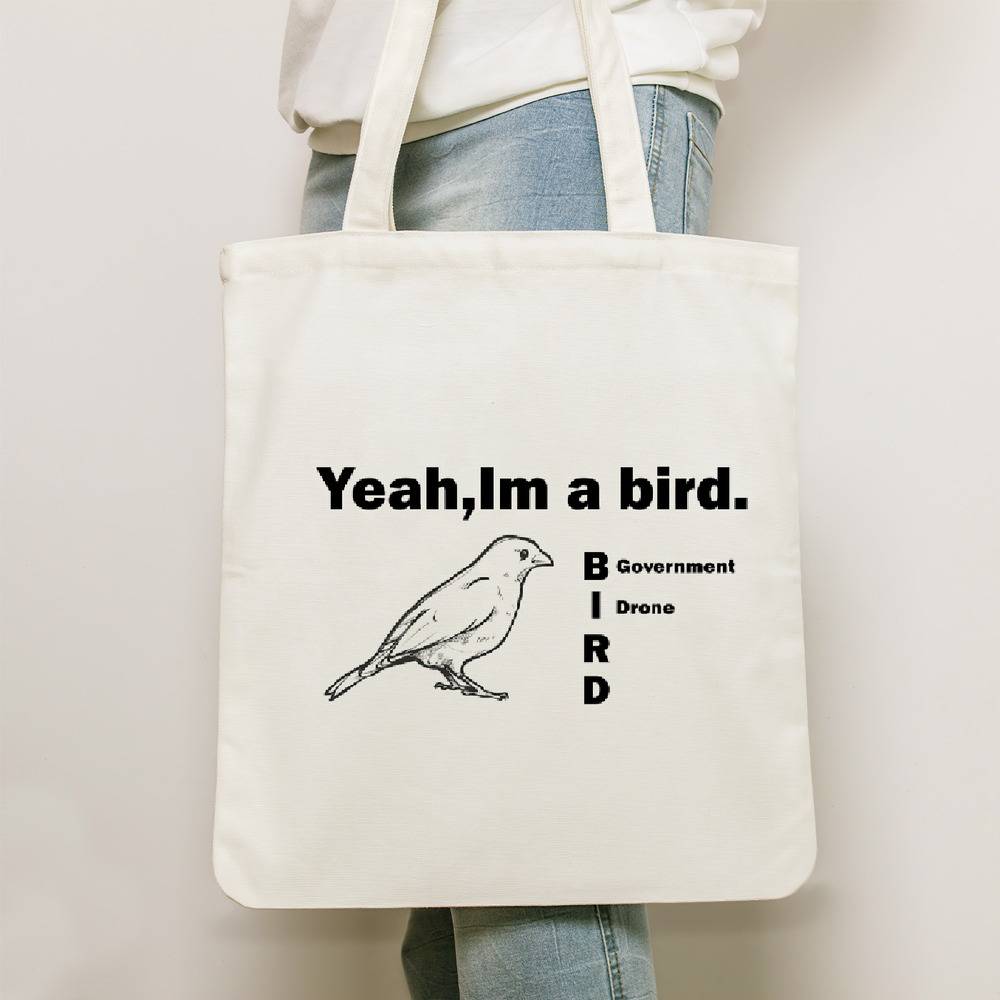 Birds Aren't Real Organic Bucket Hat, Pigeons Are Liars Hat, BirdsAren'tReal Hat, Funny Meme Hat Gift, Embroidered Organic Bucket Hat