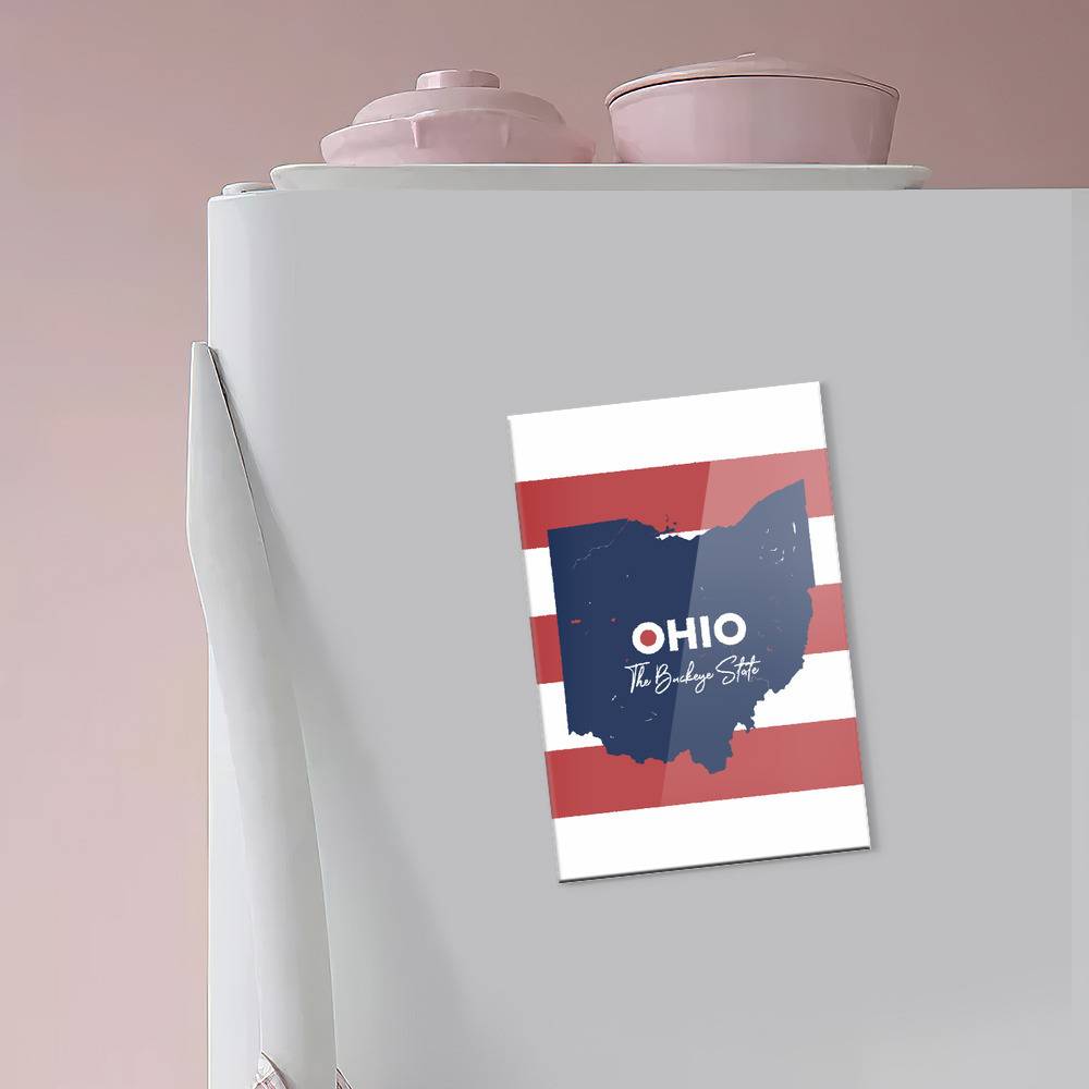 Ohio Memes Fridge ohiomemes.store