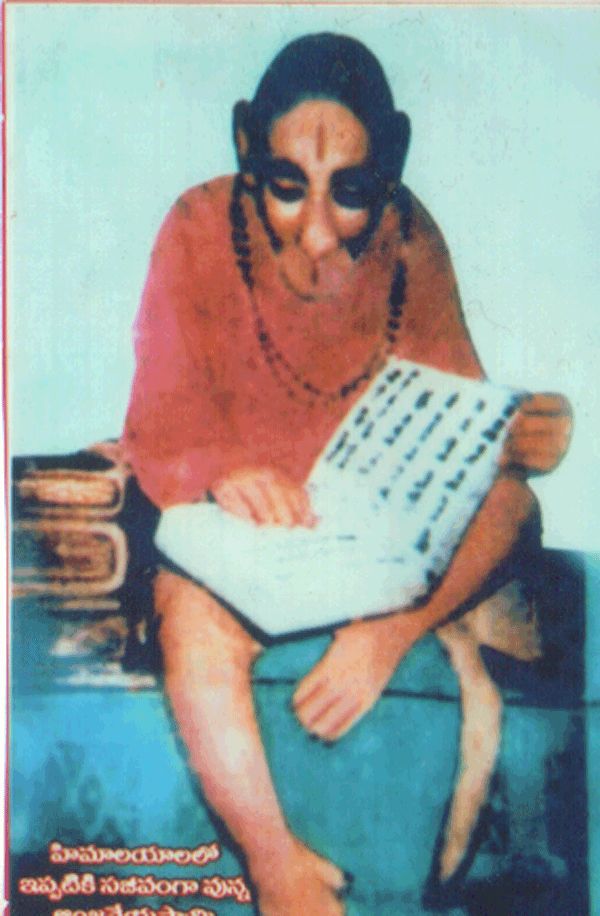 Real Hanuman Ji Photo