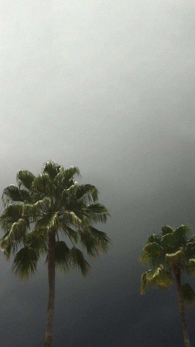 Suicideboys IPhone Wallpaper #18 PNG/JPG/PDF Digital Download Perfect for iPhone#1