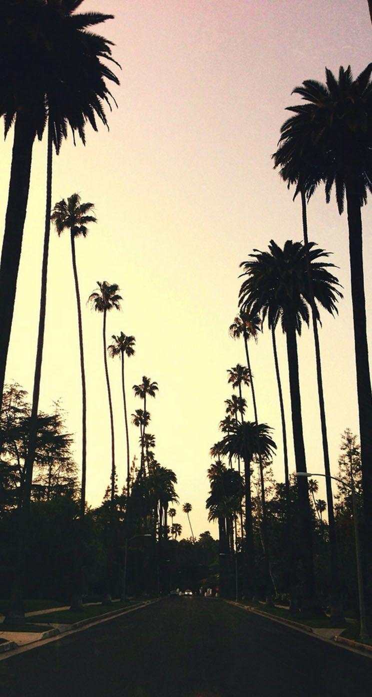 Suicideboys IPhone Wallpaper #121 PNG/JPG/PDF Digital Download Perfect for iPhone#127