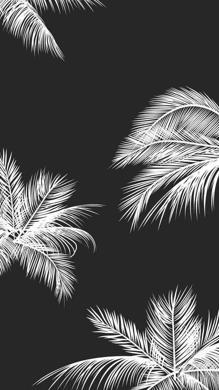Suicideboys IPhone Wallpaper #121 PNG/JPG/PDF Digital Download Perfect for iPhone#130
