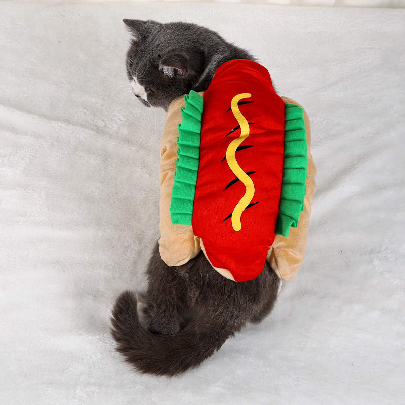 Cat in hotsell hot dog costume