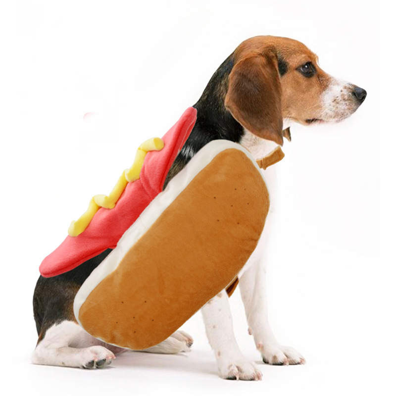 Hot dog cheap dog outfit