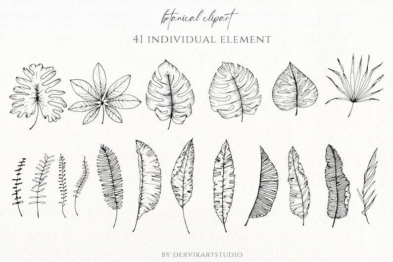 Flower Leaves Svg Eucalyptus Svg Botanical Clip Art Cricut Cut Files#3
