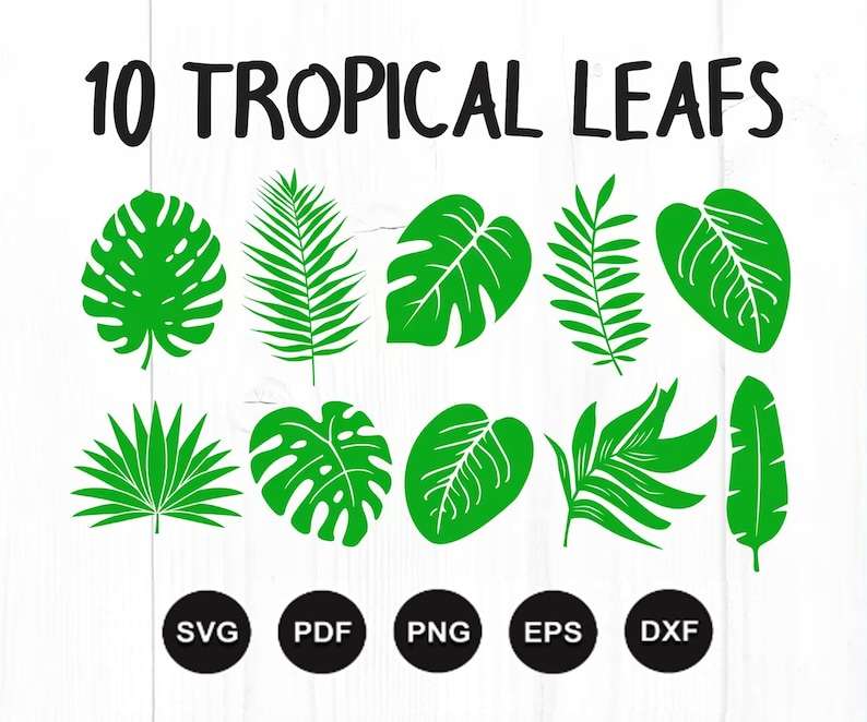 Download Tropical Leaves Svg Bundle Designs For Your Craft Projects 