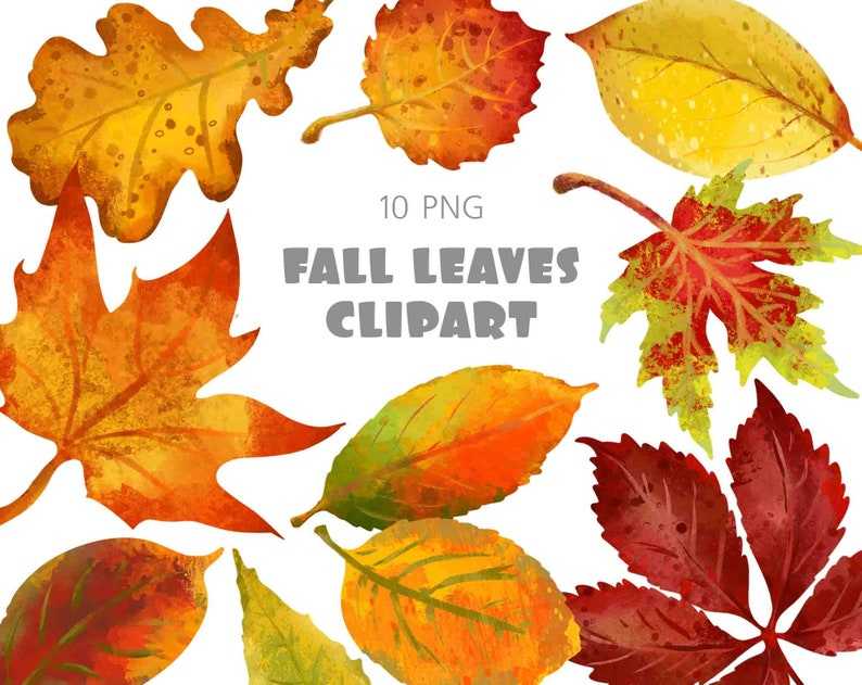 Fall Leaves Svg Clipart Illustrations and Watercolor Autumn Leaf Svg Digital Download#2