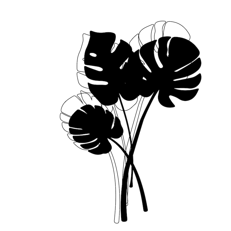 Monstera Leaf Svg Digital Cut and Engrave Files for Silhouette#5