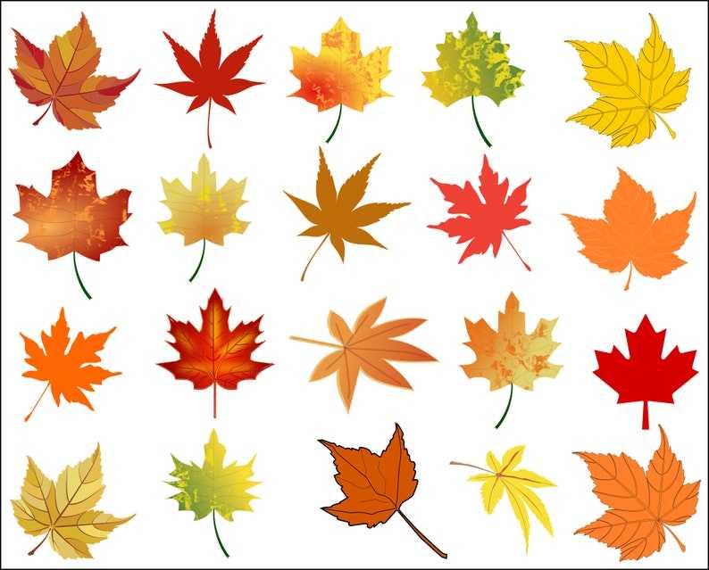 Maple Leaf Svg Fall Leaves Svg Bundle Leaves Clipart Digital Download#1