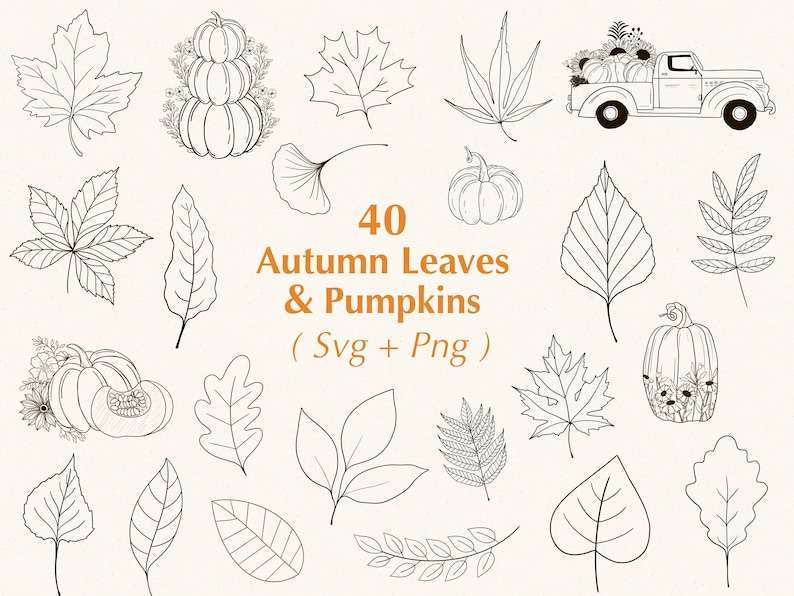 Autumn Svg Bundle Fall Leaf Svg Svg Files for Cricut Digital Download#1