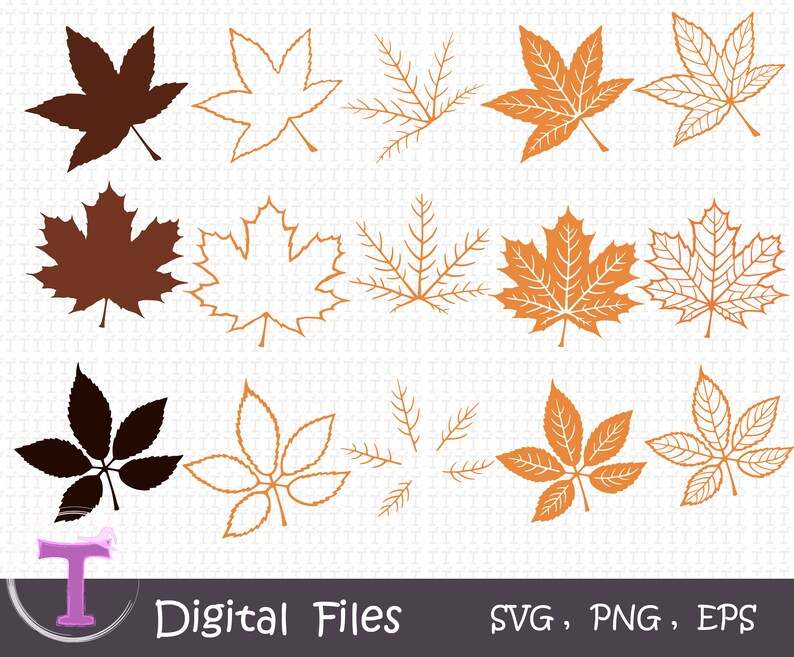 Fall Leaves Svg Bundle Layered Leaf Svg, Autumn Leaves Svg Digital Download#4
