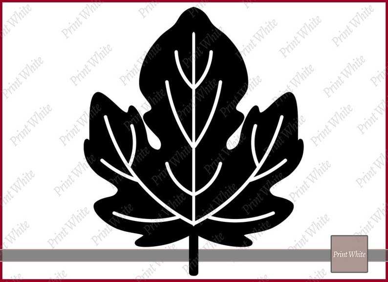 Fall Leaf Svg Fall Svg Maple Leaf Svg Autumn Leaves Svg Digital Download#7