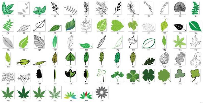 Leaves Svg Bundle, Leaf Svg, Tropical Leaves Svg, Monstera Svg, Svg Files for Cricut Digital Download #3