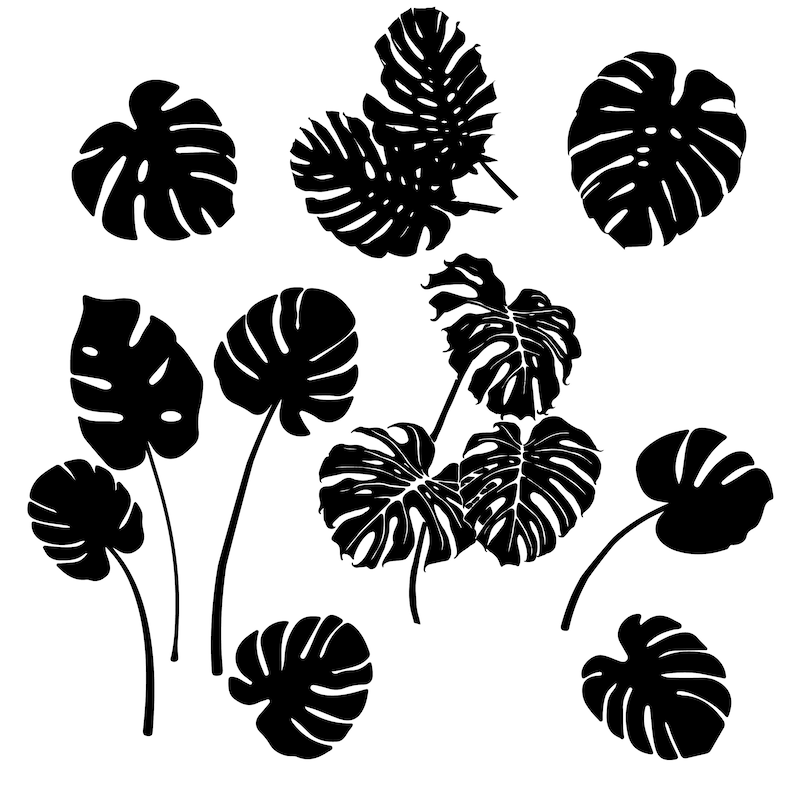 Monstera Leaf Svg Digital Cut and Engrave Files for Silhouette#1