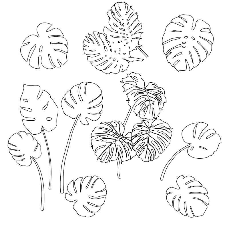 Monstera Leaf Svg Digital Cut and Engrave Files for Silhouette#3