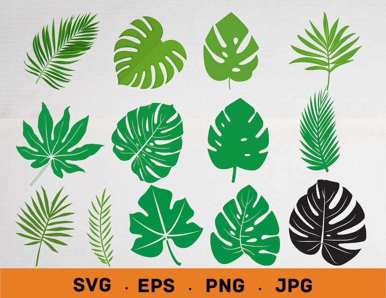 Tropical Leaves Svg Bundle Perfect for Crafting & Design Projects