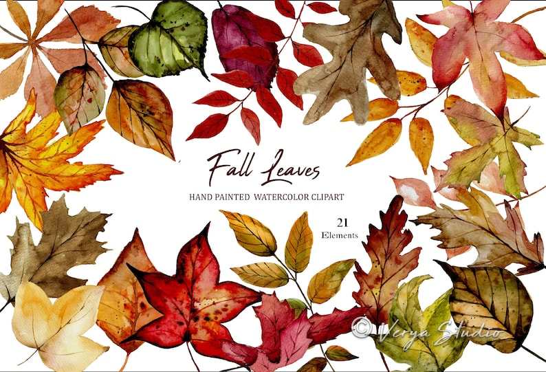 Watercolor Fall Leaves Clipart Svg High Quality Perfect for your Design 